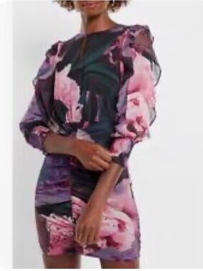 NWT Express Dress Size 8 Floral Print Long Sheer Sleeves